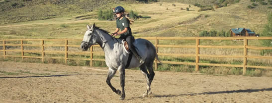 Horseback Riding