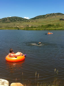 Pond