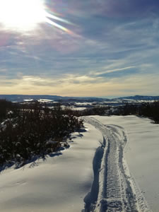 Snowmobile Trail