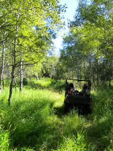 UTV Trail Riding