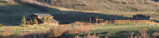 Barn