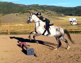 Activities