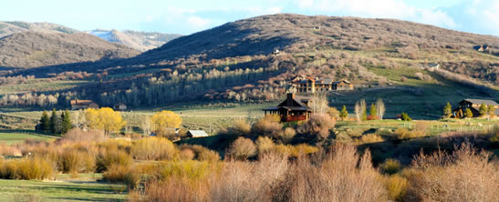 Creek Ranch