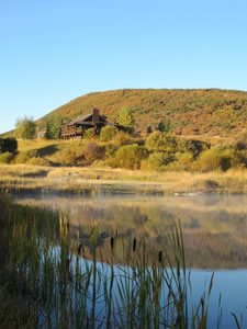 Pond