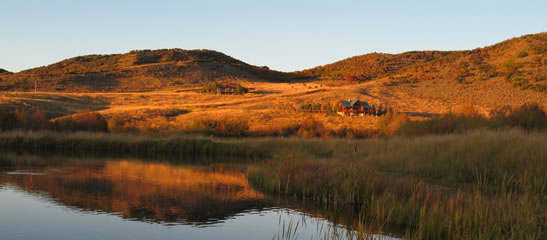 Creek Ranch