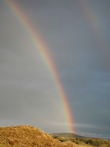 Rainbow